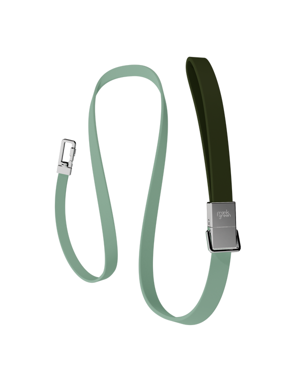 Pet Lead