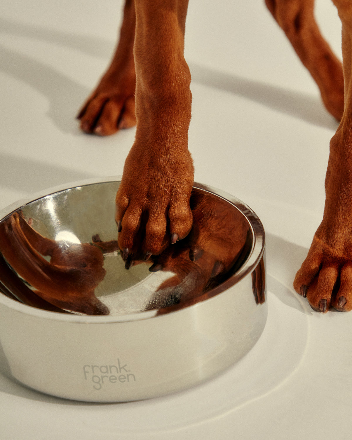 Stainless Steel Pet Bowl - Dog - Large