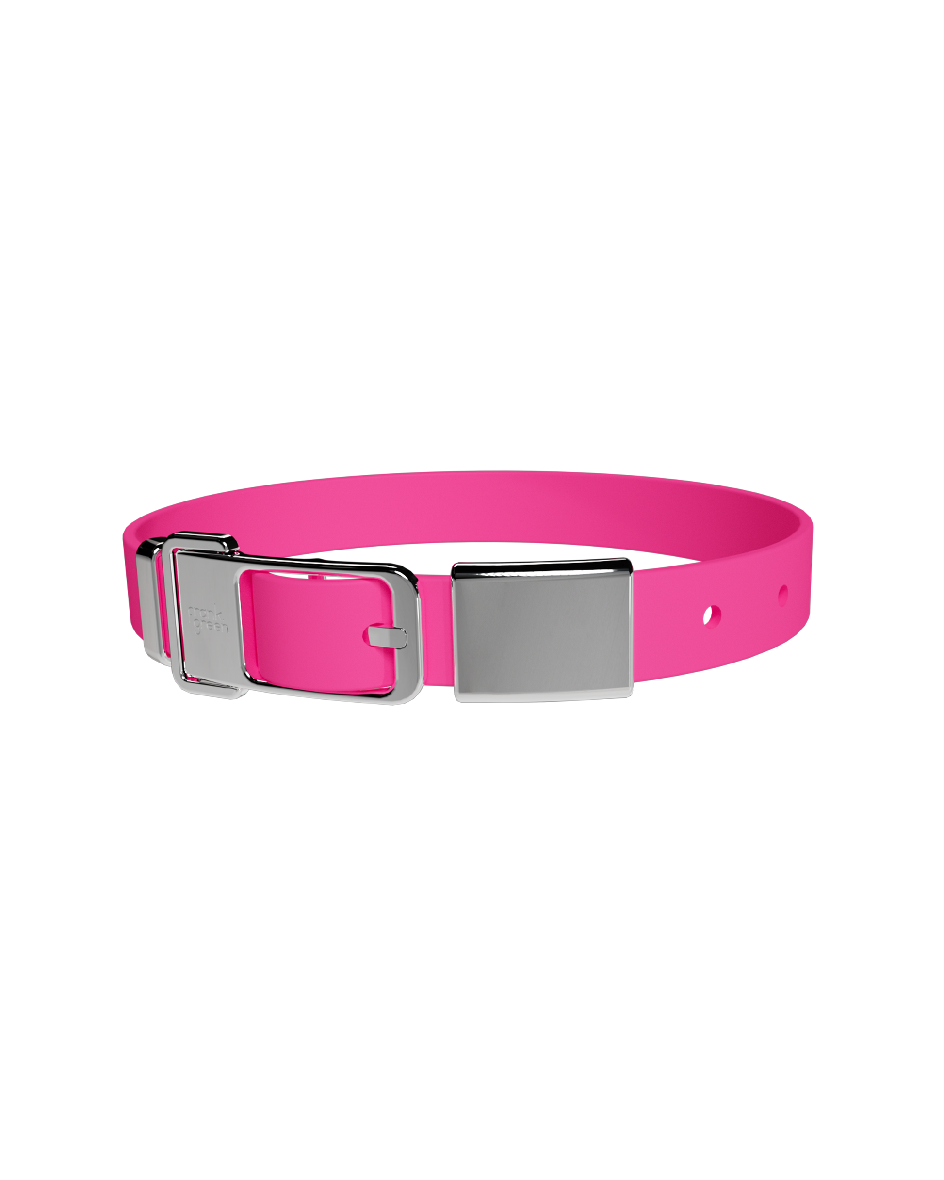 Pet Collar + Name Tag - Large