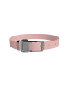 Pet Collar - Large