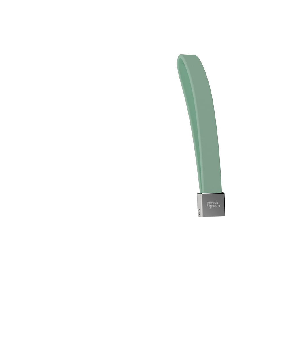 Pet Lead Handle