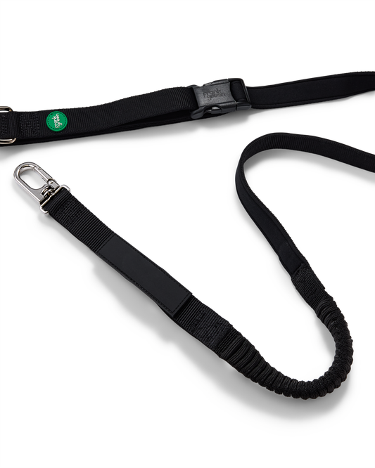 Stride Running Lead