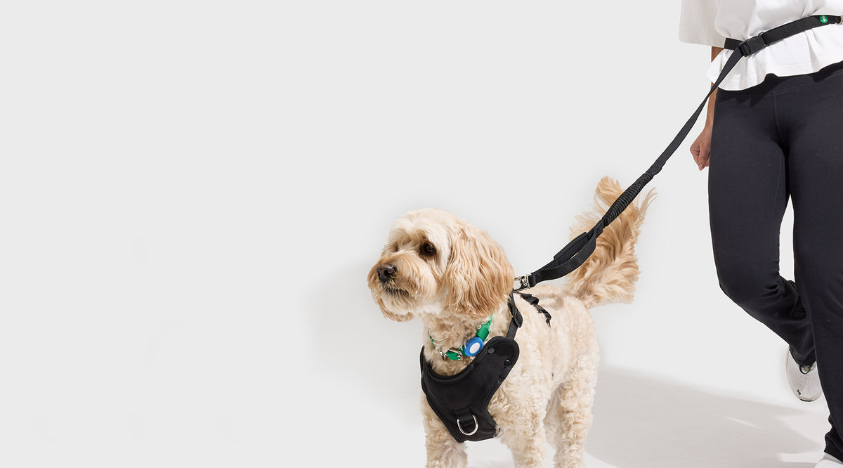 Stride Running Lead