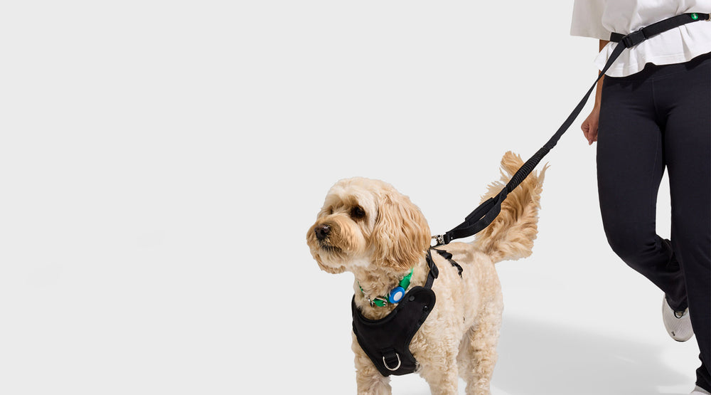 Stride Running Lead