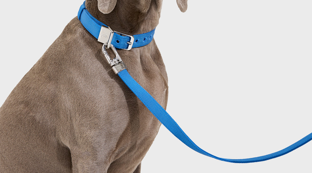 All