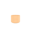Bottle Bumper Guard - Small