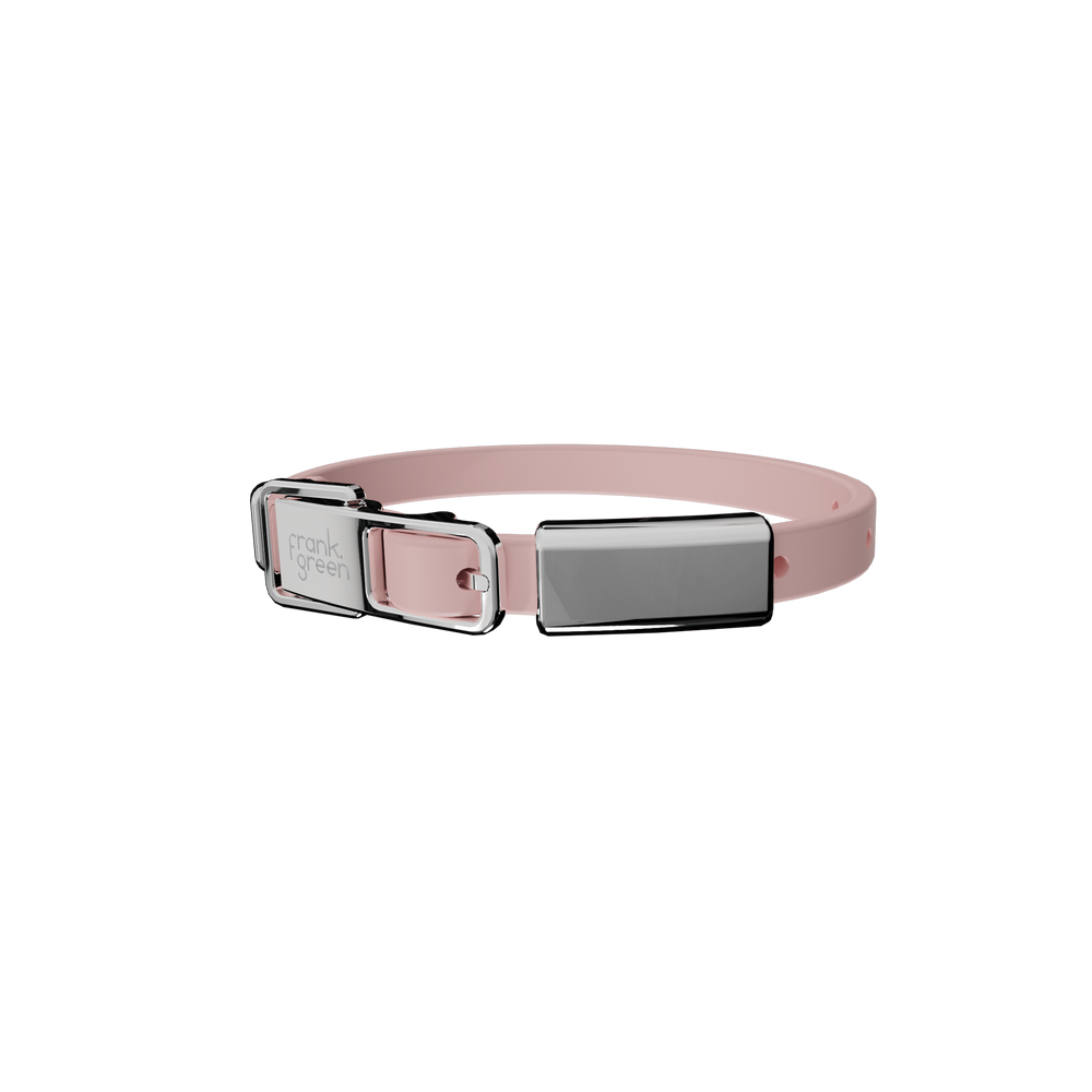 Cat Collar + Name Tag