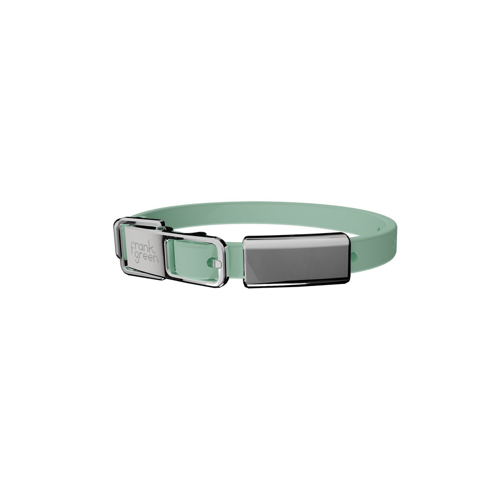 Cat Collar + Name Tag