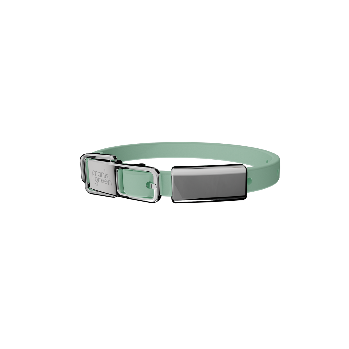 Cat Collar + Name Tag
