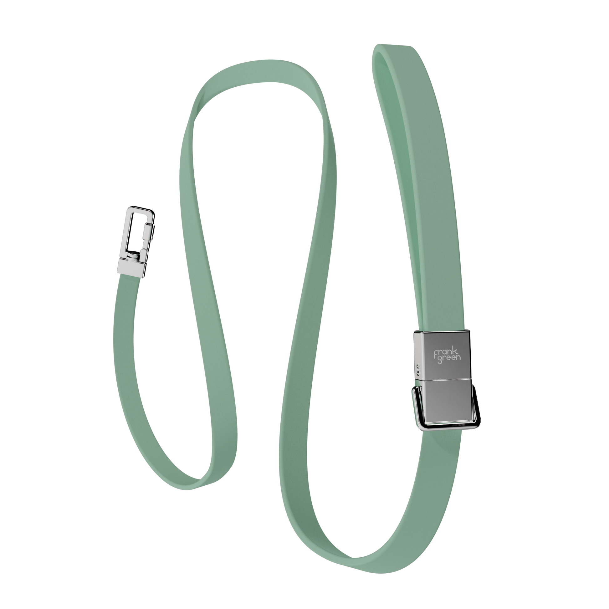 Pet Lead