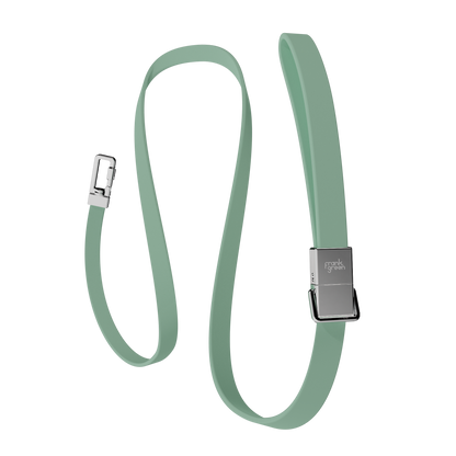 Pet Lead