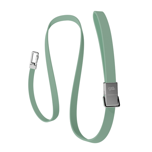 Pet Lead