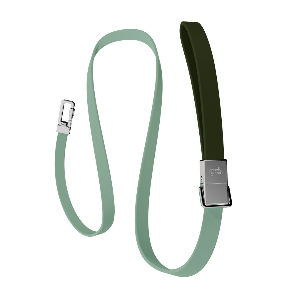 Pet Lead