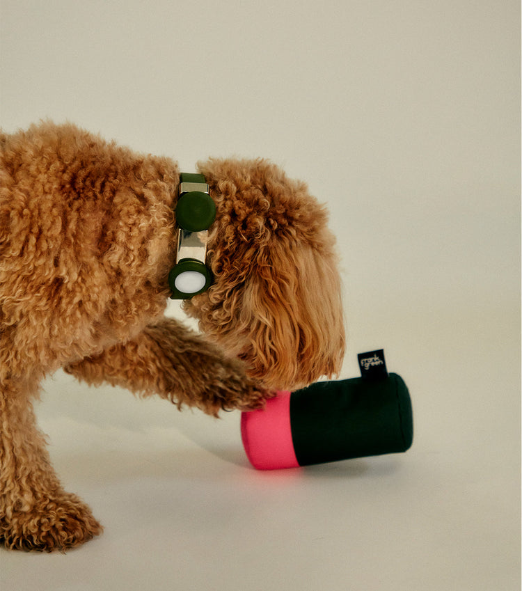 Pet & Dog Squeaky Toys | frank green Australia