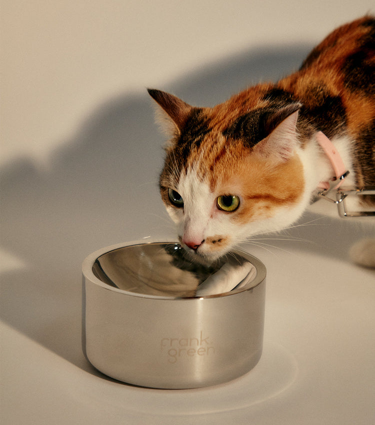 Stainless steel dog bowls hotsell australia